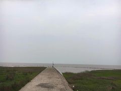-南汇嘴观海公园