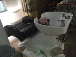 -iColor发型色彩定制