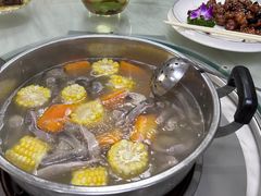 -麻奢鸽农庄·梦里水乡