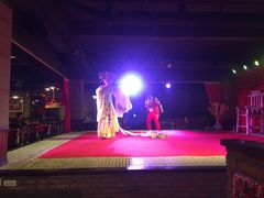 -关东情主题文化演艺餐厅