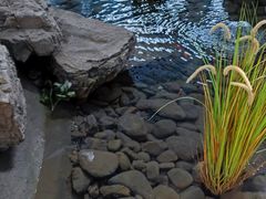 -森谷美食公园(杨行店)