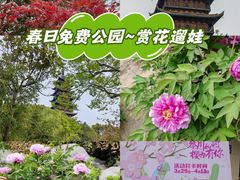 -常熟方塔园