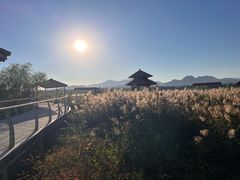 -青龙湖公园
