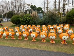 -上海长兴岛郊野公园