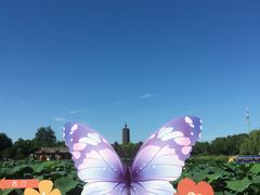 -西海子公园
