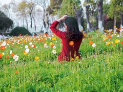 -艾溪湖湿地公园