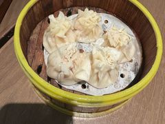 -真真老老(月河花鸟市场店)