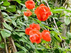 -瓦舍茶馆(聚源路店)