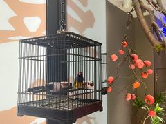 -石门豆腐王(红旗街店)