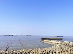 -上海滨江森林公园