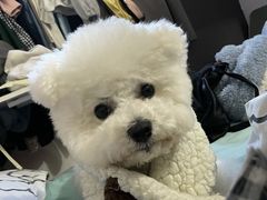-宠颐生宠物医院外科·内科·皮肤科·影像科(石龙店)