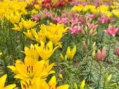 -长春公园(普阳街道)