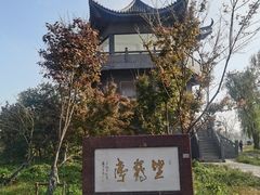 -盐城丹顶鹤湿地生态旅游区