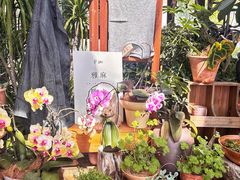 -北马山庄植趣咖啡