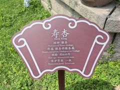 -苏州文庙(姑苏区)