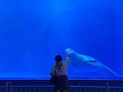 -多彩贵州城极地海洋世界