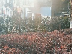 -COTTON CAFE(德信·中外公寓店)