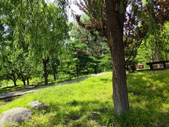 -莲花池公园