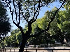 -元大都城垣遗址公园