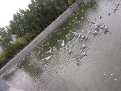 iphone_upload_pic-宗角禄康公园