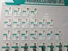 -派美特宠物医院·核磁CT·骨科肿瘤·疑难转诊(沈农禾丰店)