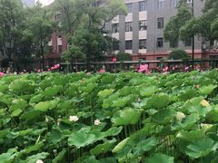 -四川大学(望江校区)