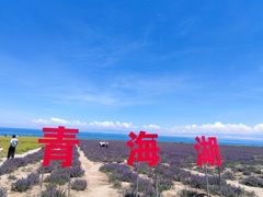 -青海湖国家重点风景名胜区