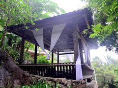 -厦门园林植物园-植物园滴水山房