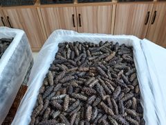 -宫品海参专卖店(静安大宁店)