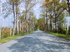 -上海长兴岛郊野公园