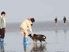 -南汇嘴观海公园