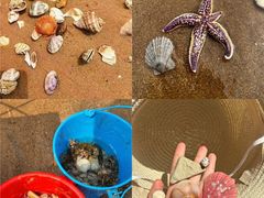 -巧克力渔家.小船海鲜胶东菜(万平口店)