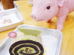 -WHEN PIGS FLY当猪飞