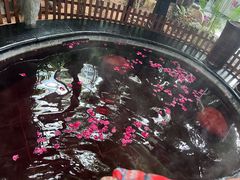 -东方华地城湿地温泉度假区