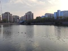 -青岛大学(金家岭校区)