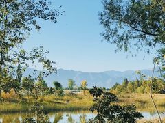 -野鸭湖国家湿地公园