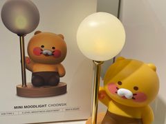 -KAKAO FRIENDS(弘大店)