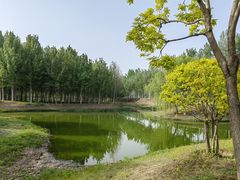 -东郊湿地公园