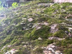 -幕燕滨江·燕子矶公园