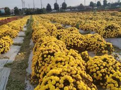 -中国天府农业博览园