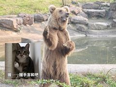 -宁波野生动物园