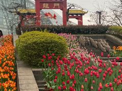 -南山植物园