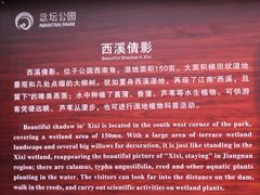 -大兴滨河森林公园