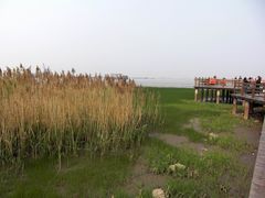 -上海长江河口科技馆