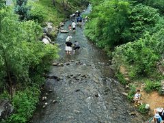 -羊山湖公园