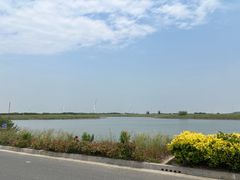 -启东黄金海滩景区