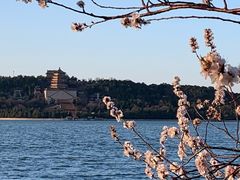 -颐和园