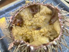 -海胆小馆(东北水饺·春柳店)