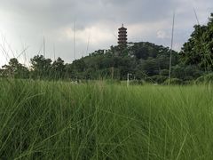 -红花山公园