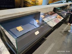 -北京周口店北京人遗址博物馆